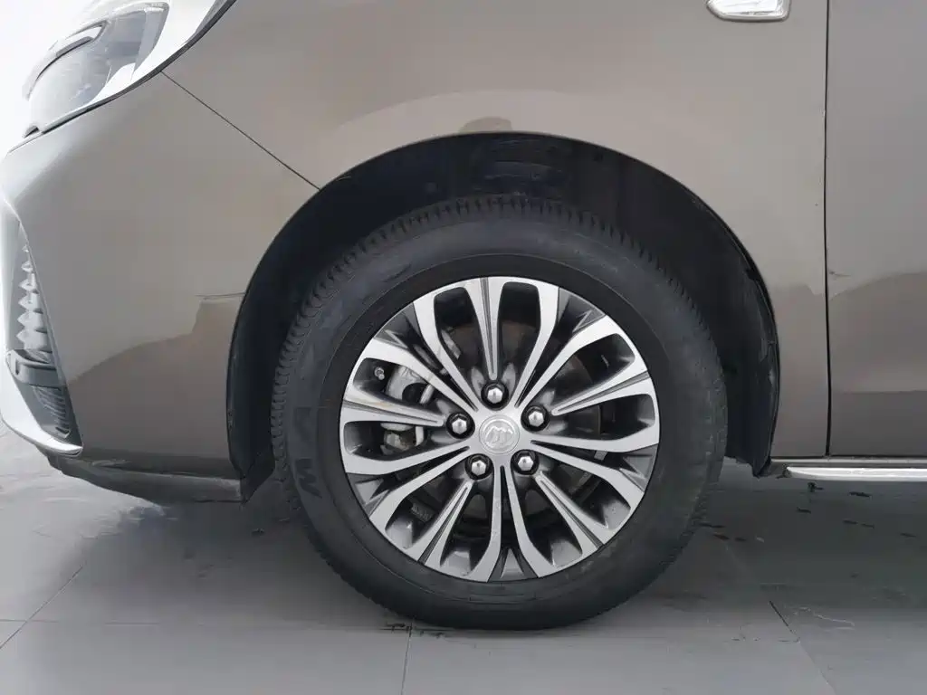 Buick GL8 — миниатюра 17