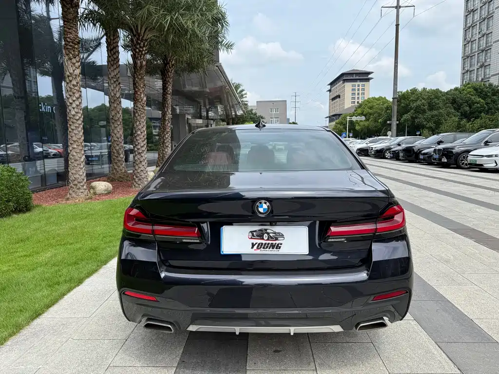 BMW 5 Series — миниатюра 5