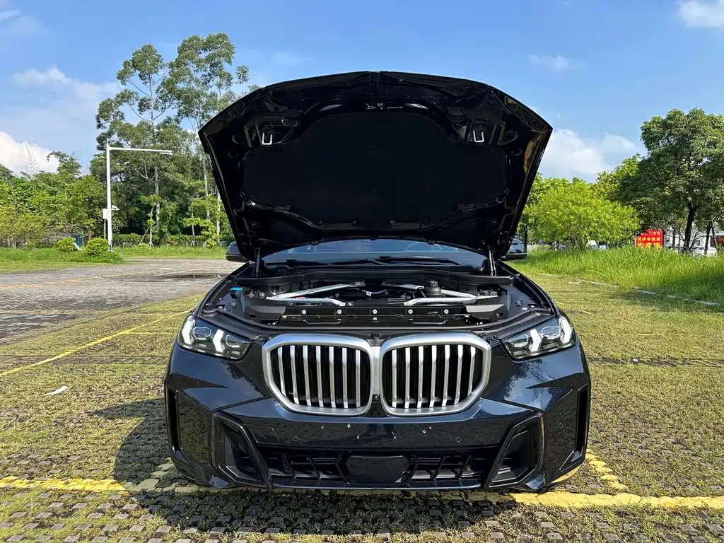 BMW X5 — миниатюра 19