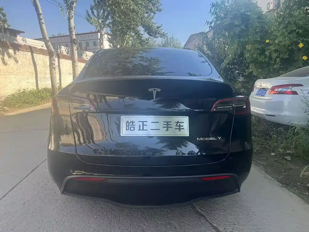 Tesla Model Y — миниатюра 6