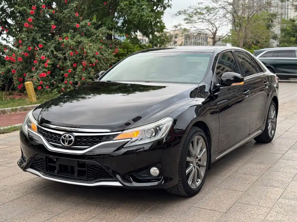 Toyota Reiz — миниатюра 2
