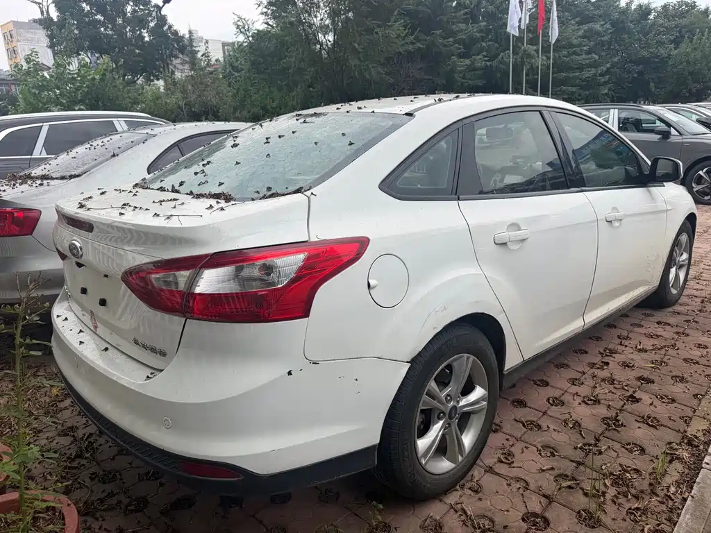 Ford Focus — миниатюра 5