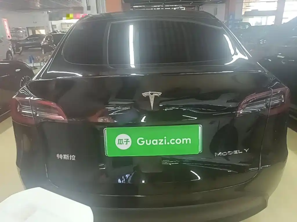 Tesla Model Y — миниатюра 6