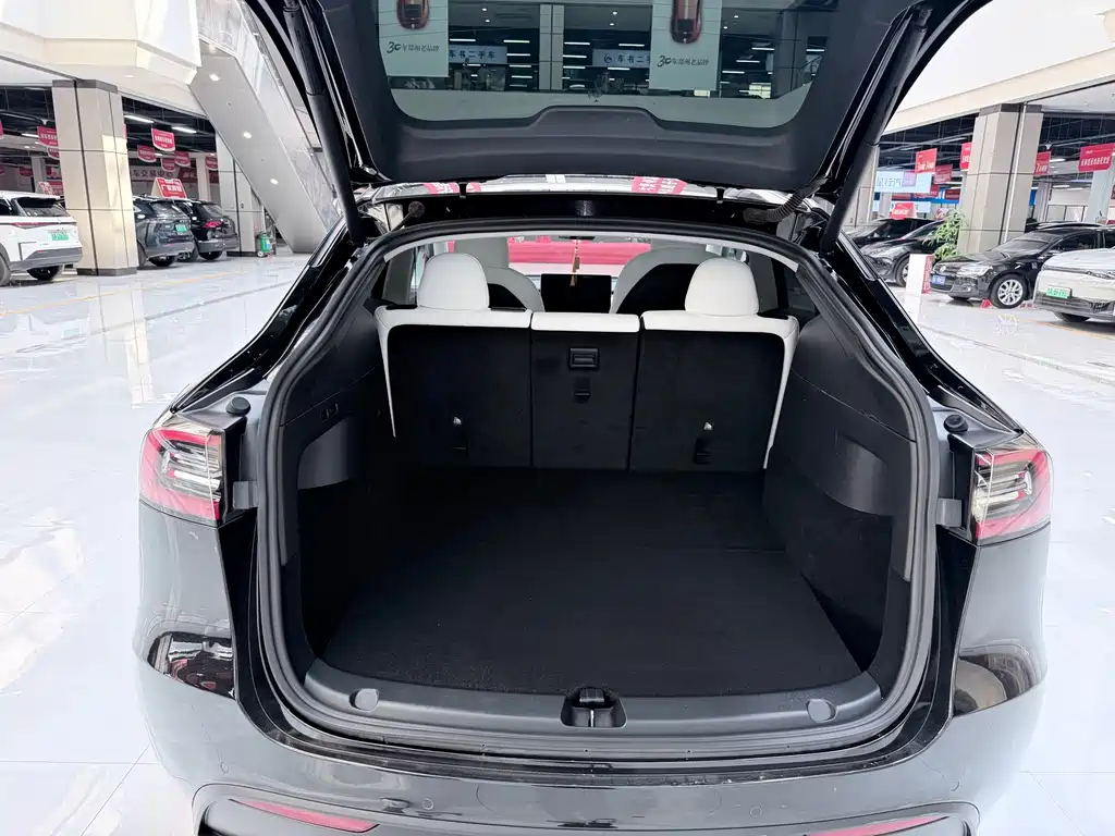 Tesla Model Y — миниатюра 13