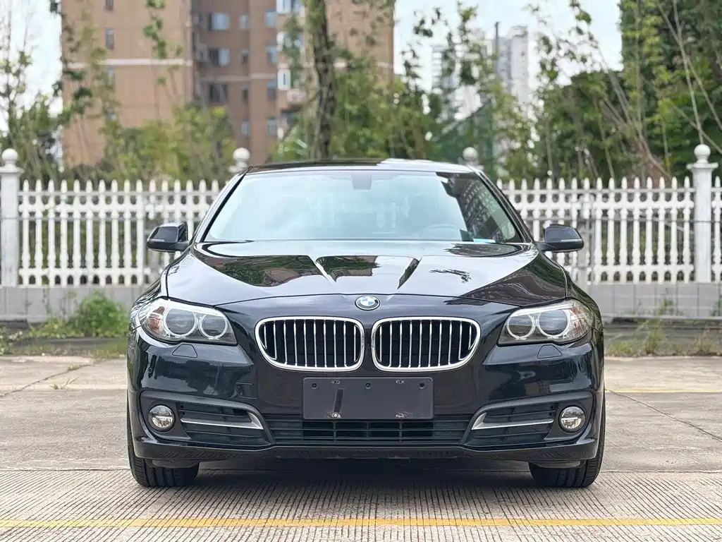BMW 5 Series (Import) — миниатюра 2