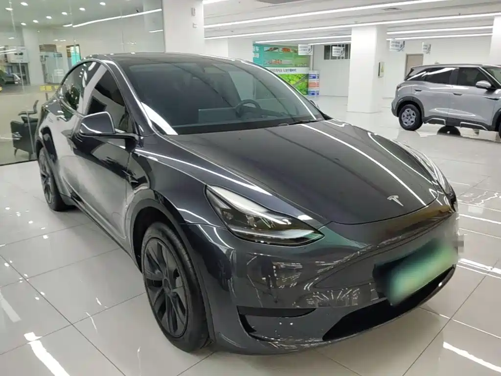 Tesla Model Y — миниатюра 4
