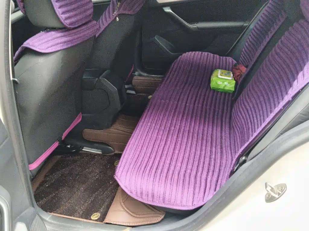 Volkswagen Gran Lavida — миниатюра 18