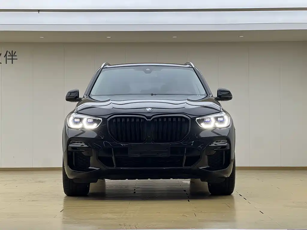 BMW X5 (Import) — миниатюра 2