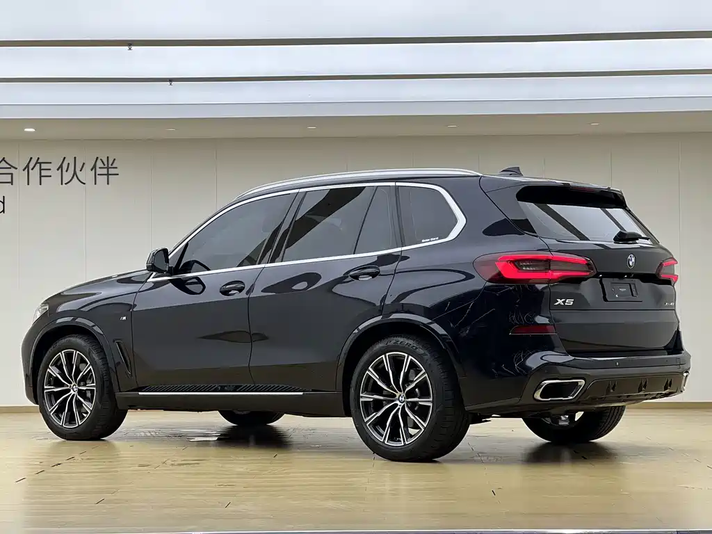 BMW X5 (Import) — миниатюра 21