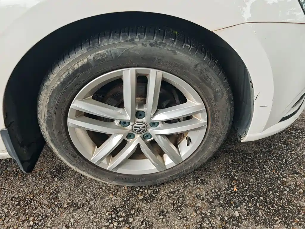 Volkswagen Gran Lavida — миниатюра 24
