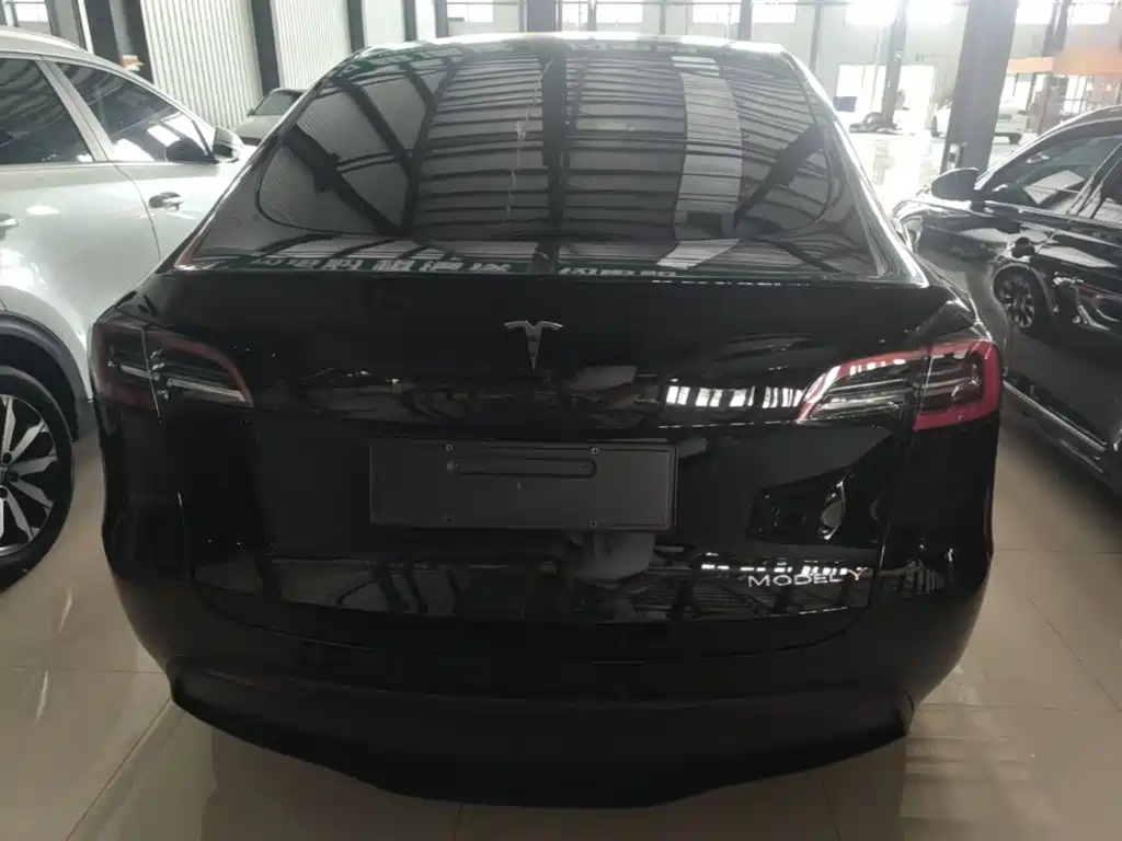 Tesla Model Y — миниатюра 6