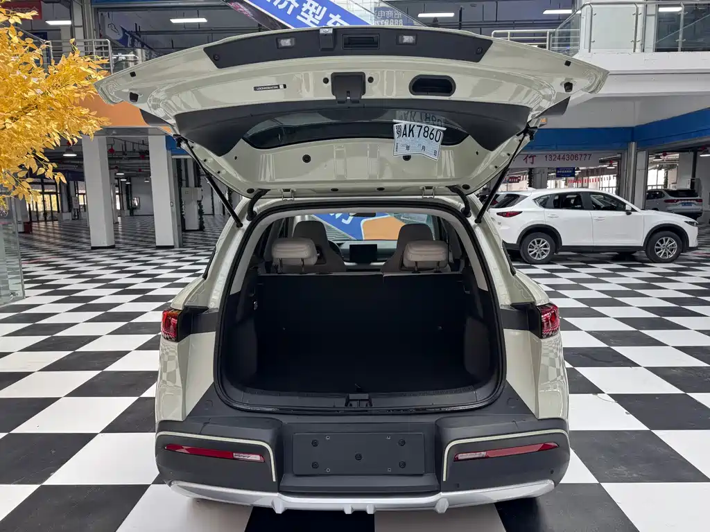 BYD Yuan UP — миниатюра 11
