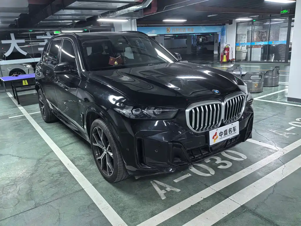 BMW X5 — миниатюра 2