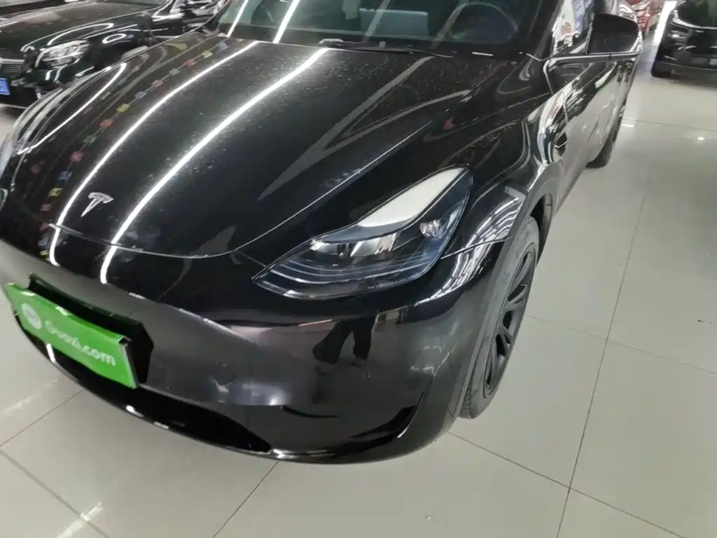 Tesla Model Y — миниатюра 24