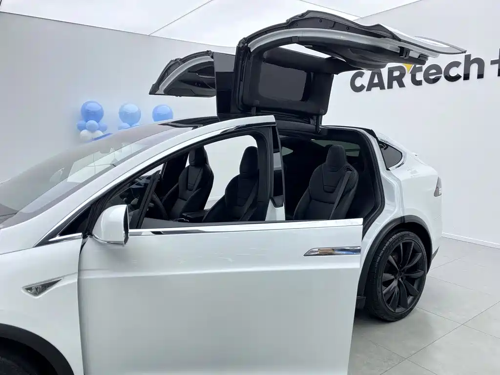 Tesla Model X — миниатюра 13