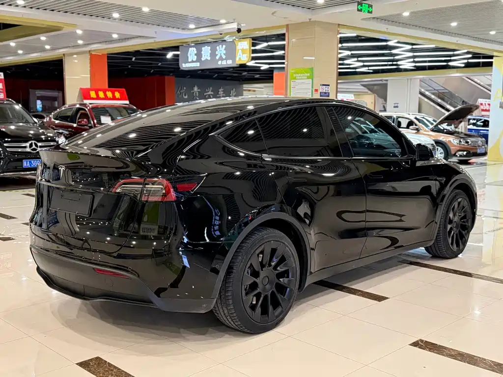 Tesla Model Y — миниатюра 9