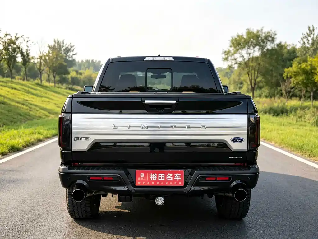 Ford F-150 Raptor — миниатюра 5