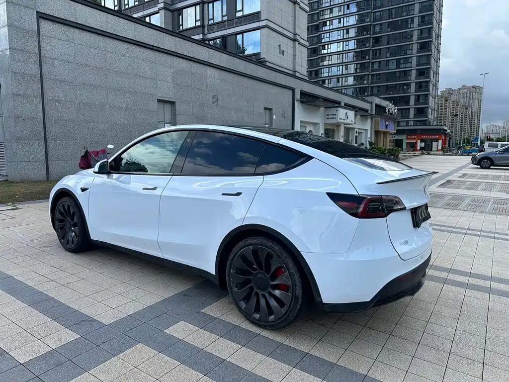 Tesla Model Y — миниатюра 11