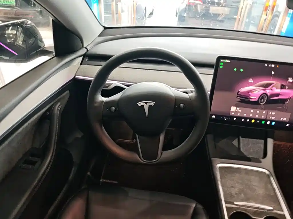 Tesla Model Y — миниатюра 11