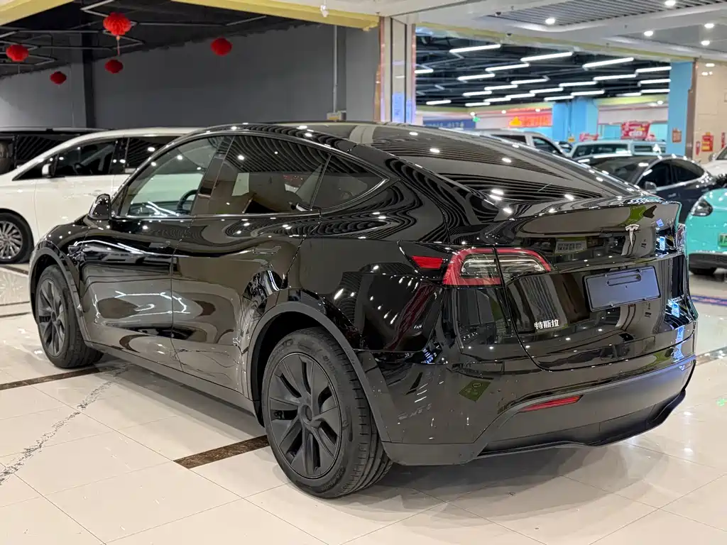 Tesla Model Y — миниатюра 7
