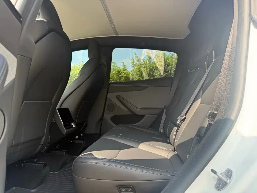 Tesla Model Y — миниатюра 8