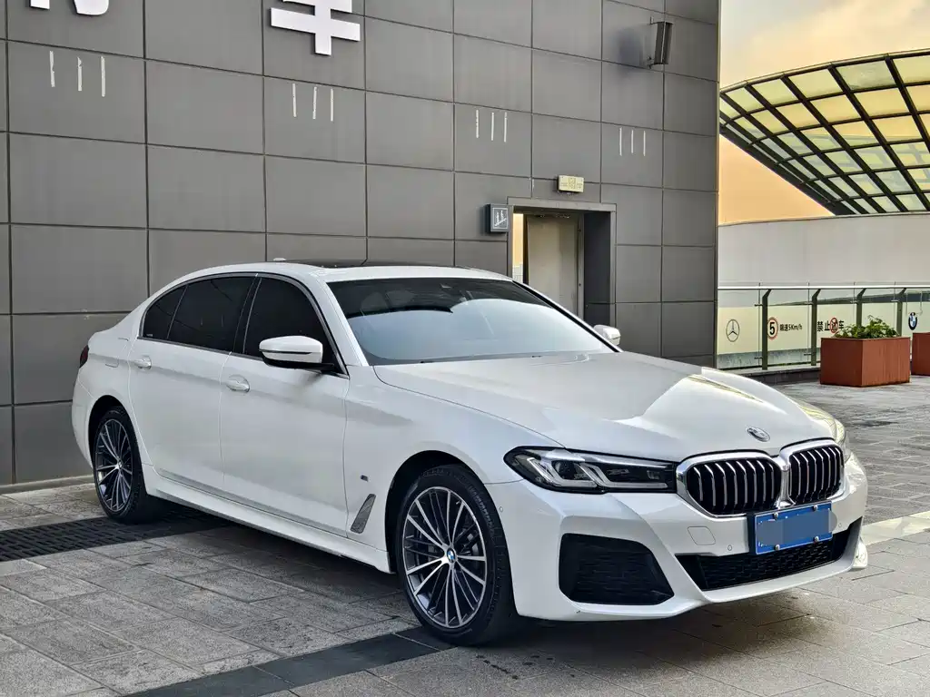 BMW 5 Series — миниатюра 3