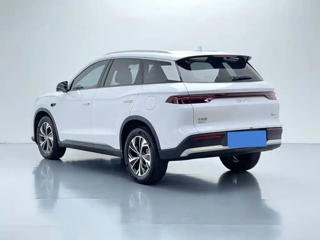 BYD Pro — миниатюра 6