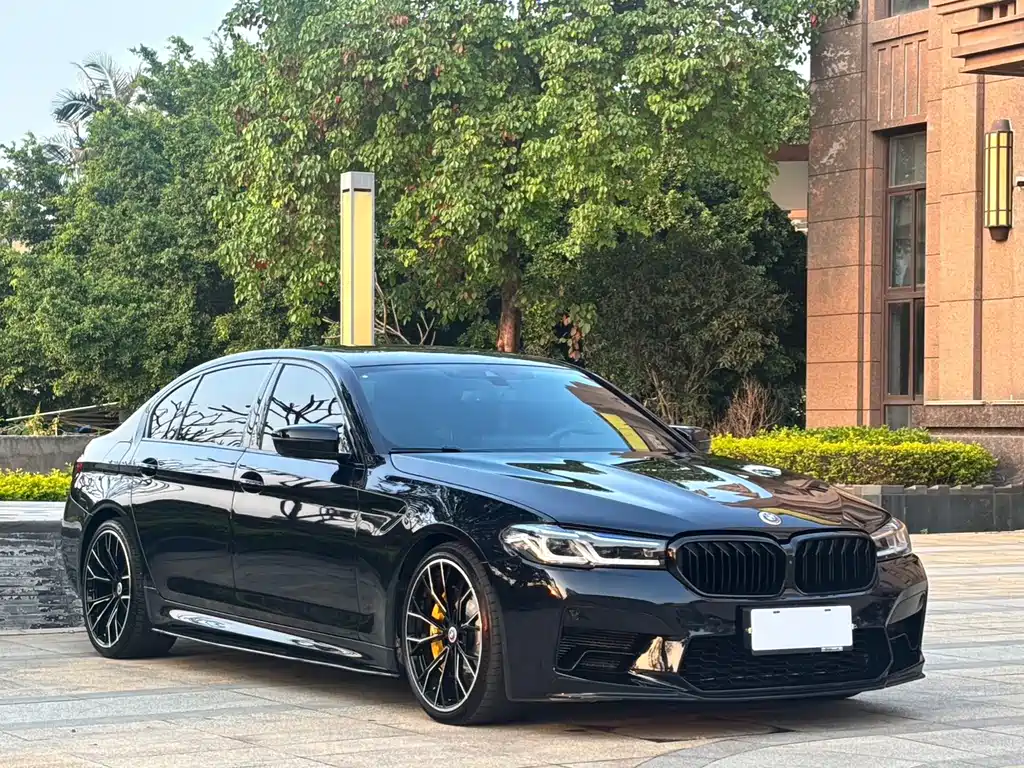 BMW 5 Series — миниатюра 3