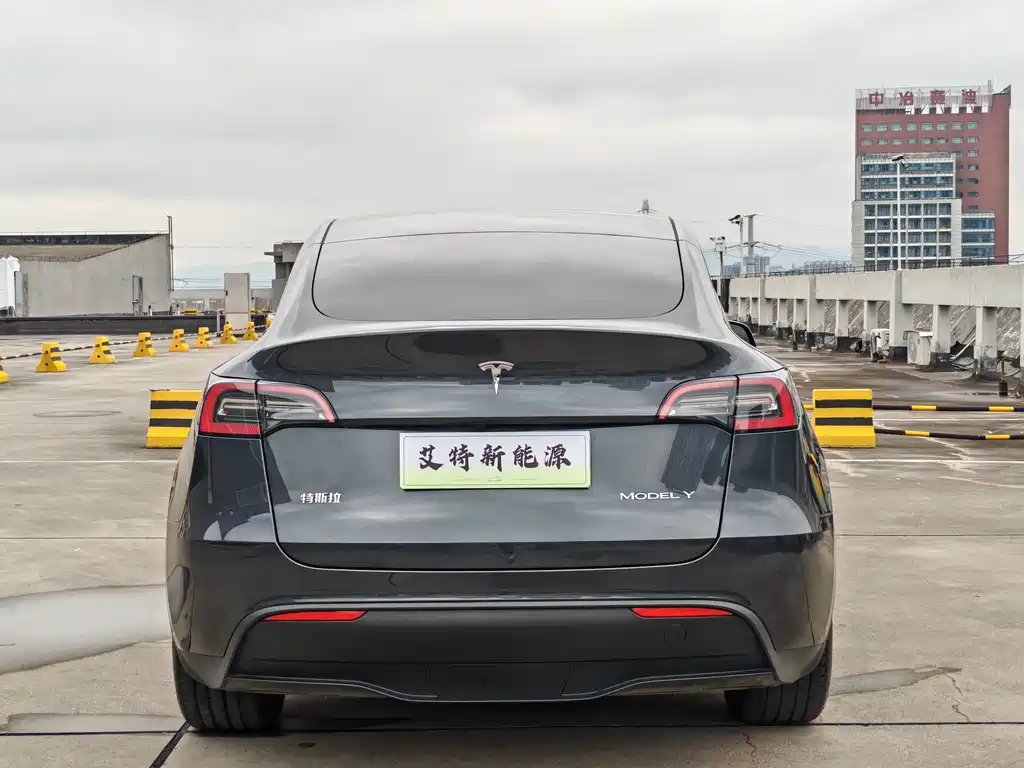 Tesla Model Y — миниатюра 6