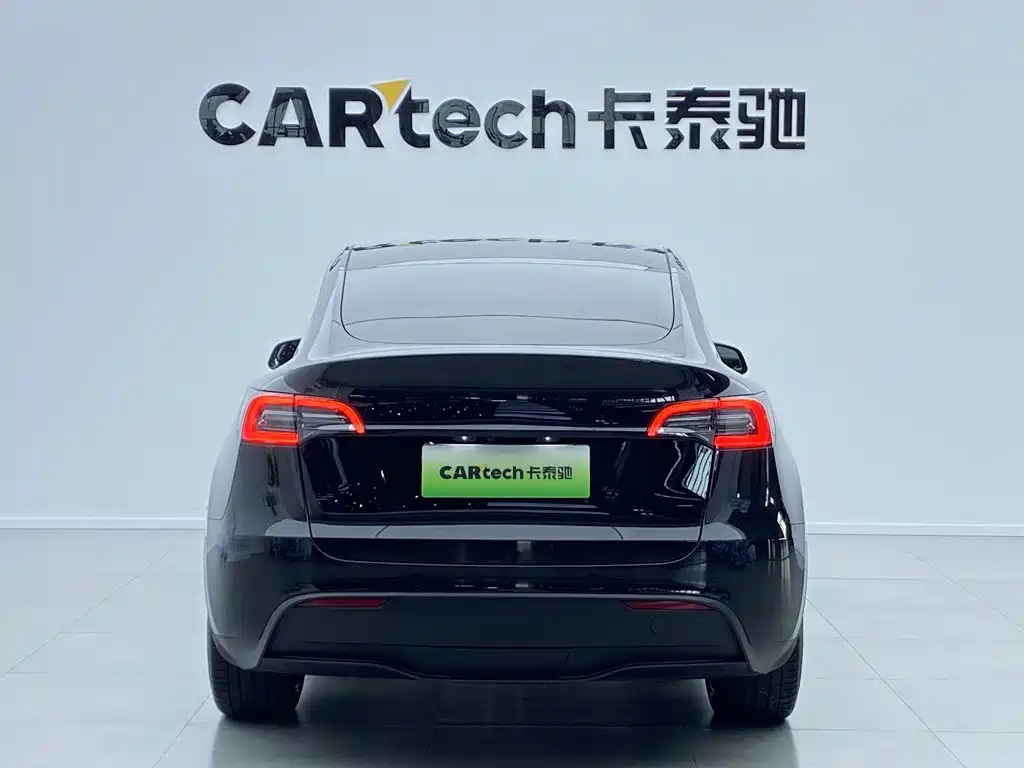 Tesla Model Y — миниатюра 5