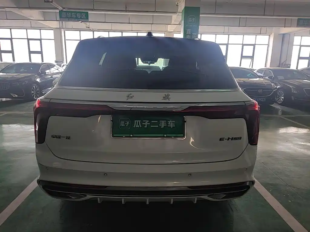 Hongqi Hongqi E-HS9 — миниатюра 6
