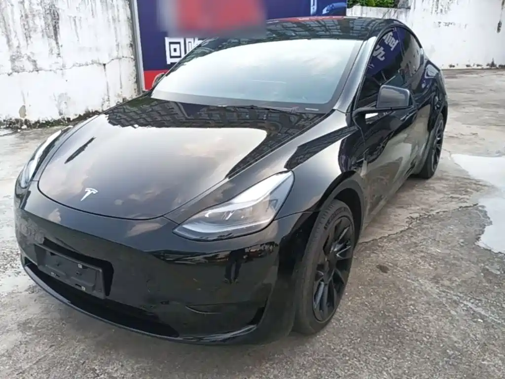 Tesla Model Y — миниатюра 2