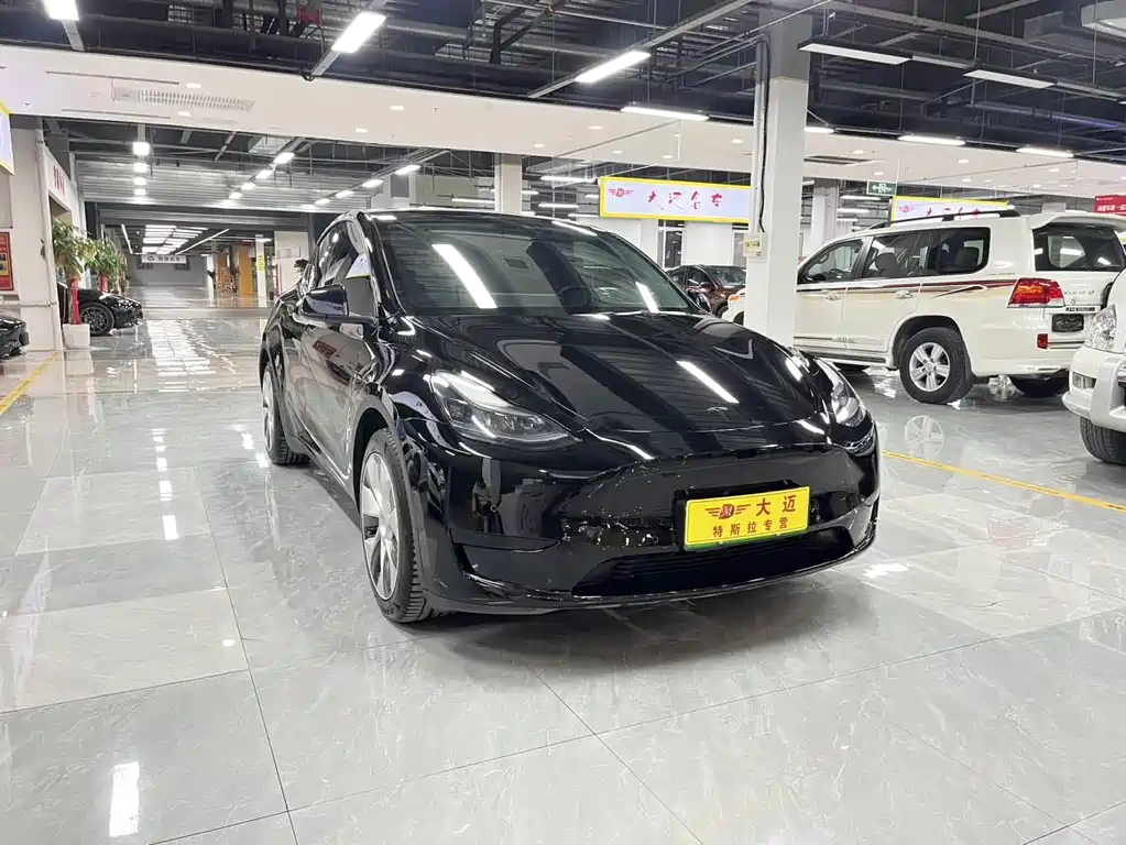 Tesla Model Y - фото 3