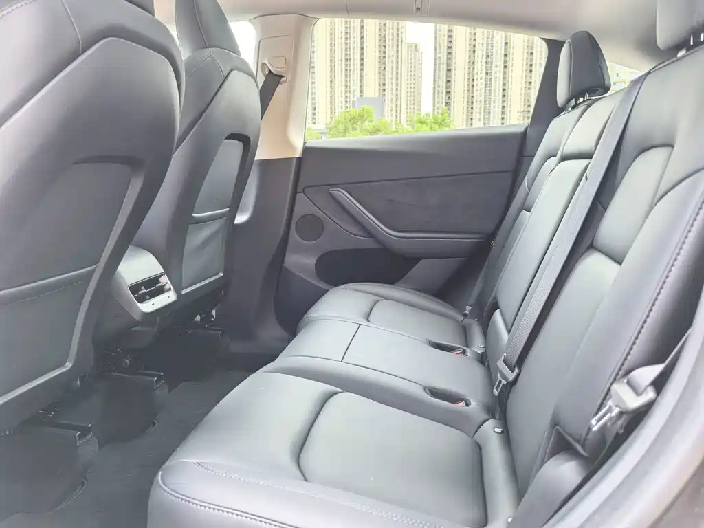 Tesla Model Y — миниатюра 6