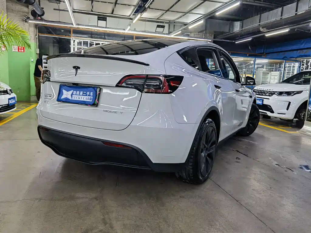 Tesla Model Y — миниатюра 4