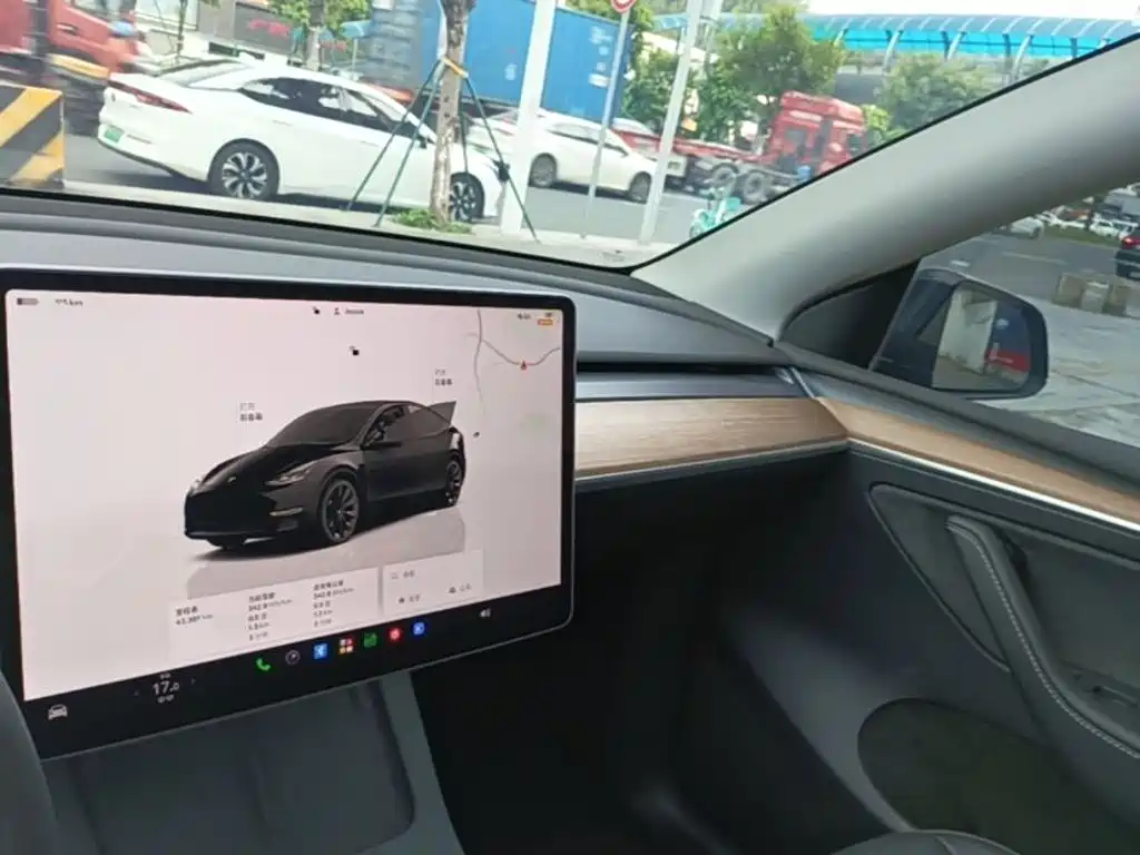 Tesla Model Y — миниатюра 10