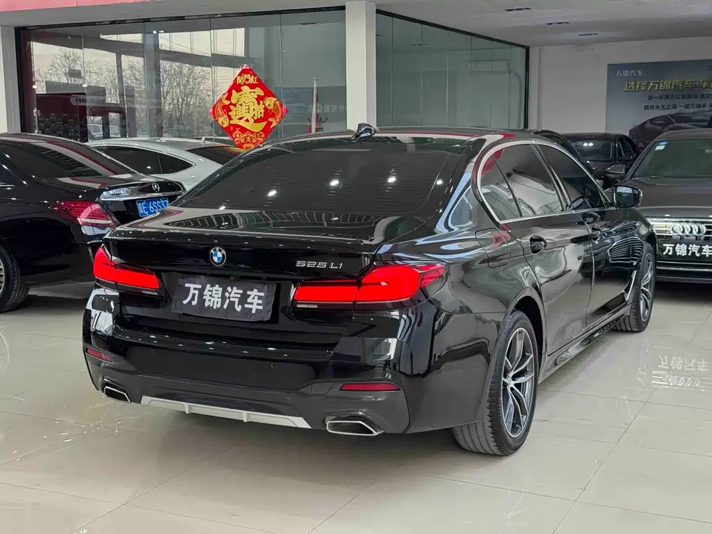 BMW 5 Series — миниатюра 4