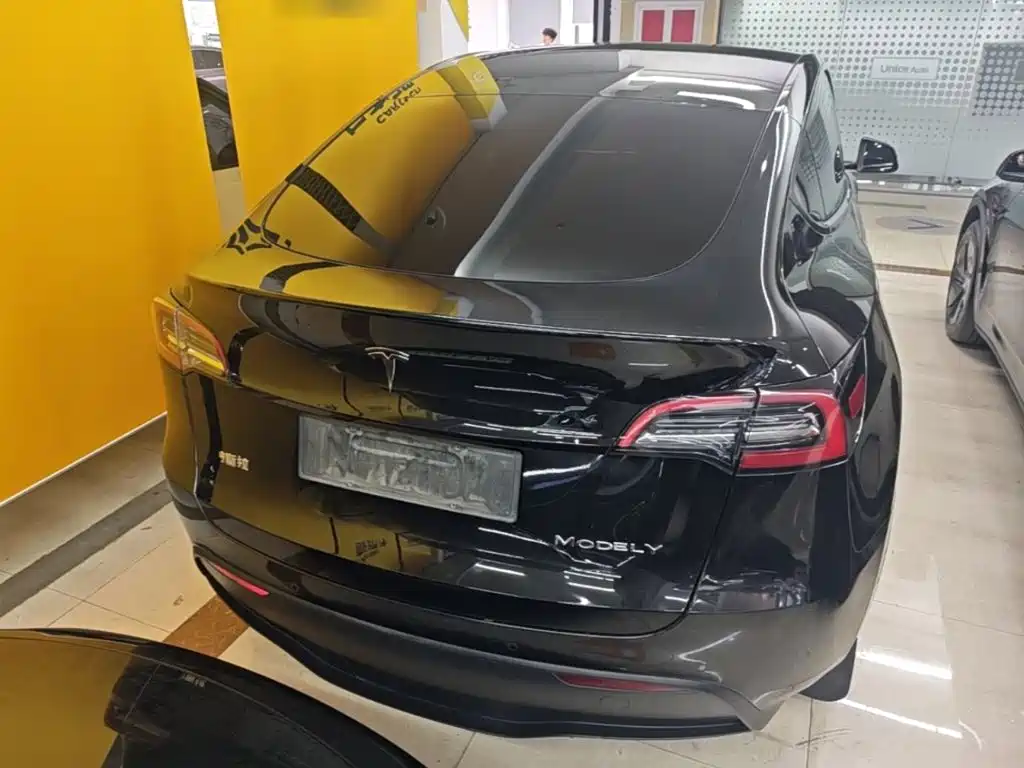 Tesla Model Y — миниатюра 6