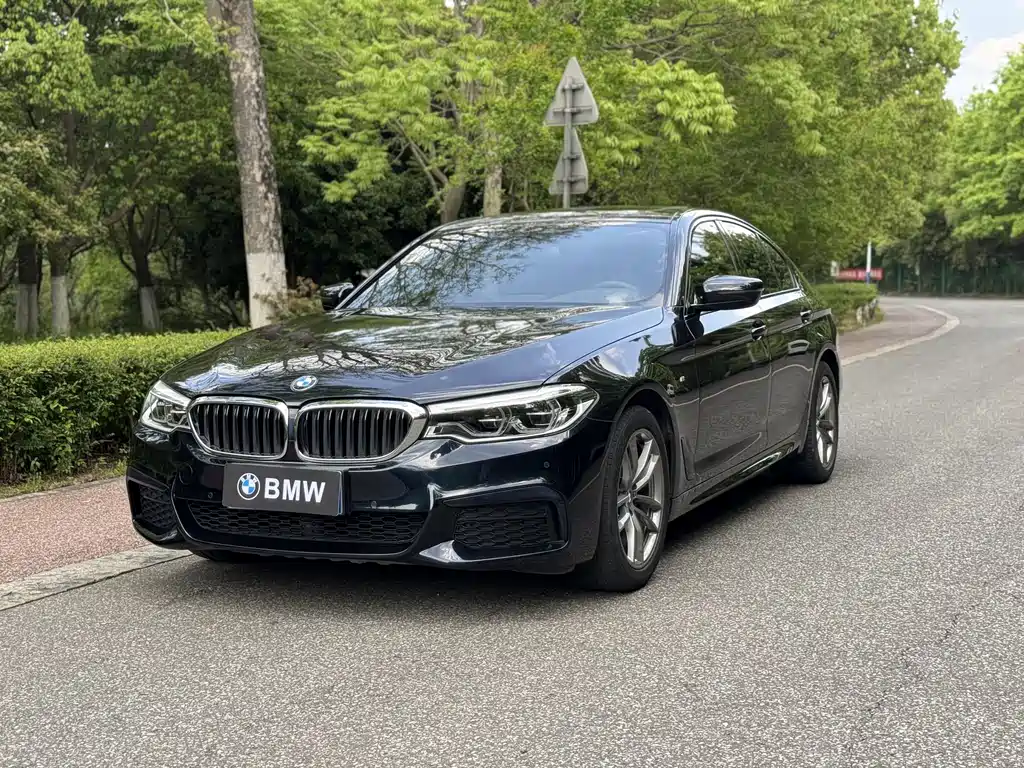 BMW 5 Series (Import) 2020