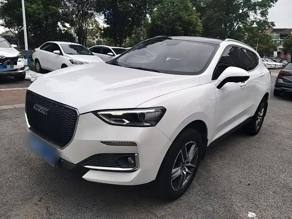 Haval F5 — миниатюра 2