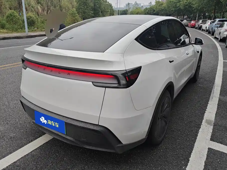 Tesla Model Y — миниатюра 3