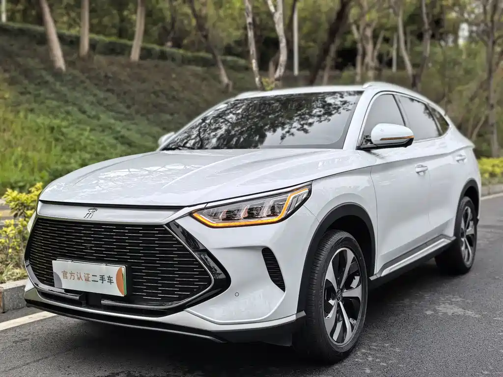 BYD SONGJIANG NEW ENERGY