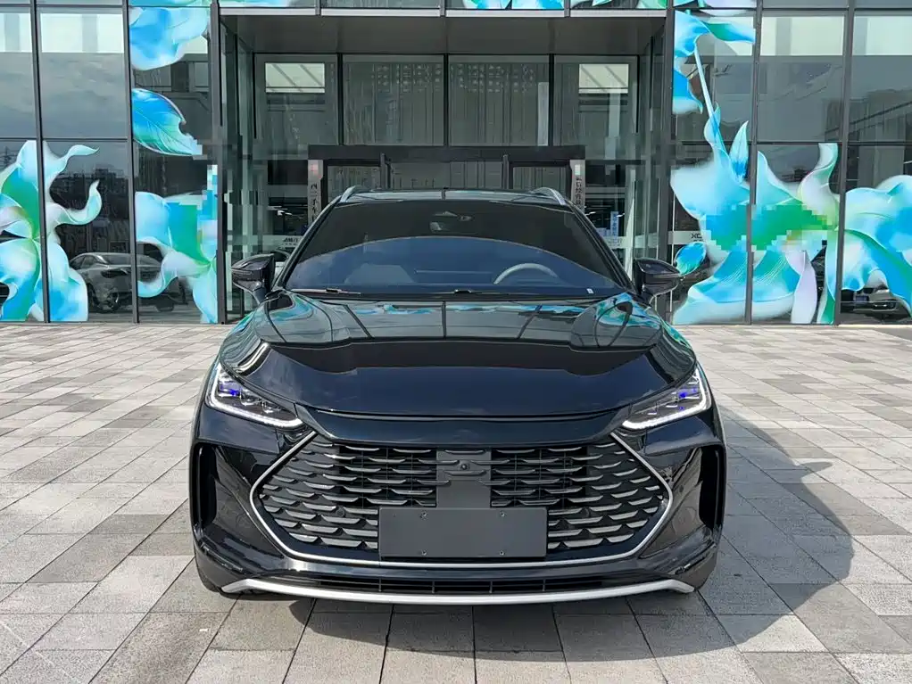 BYD Tang New Energy — миниатюра 5