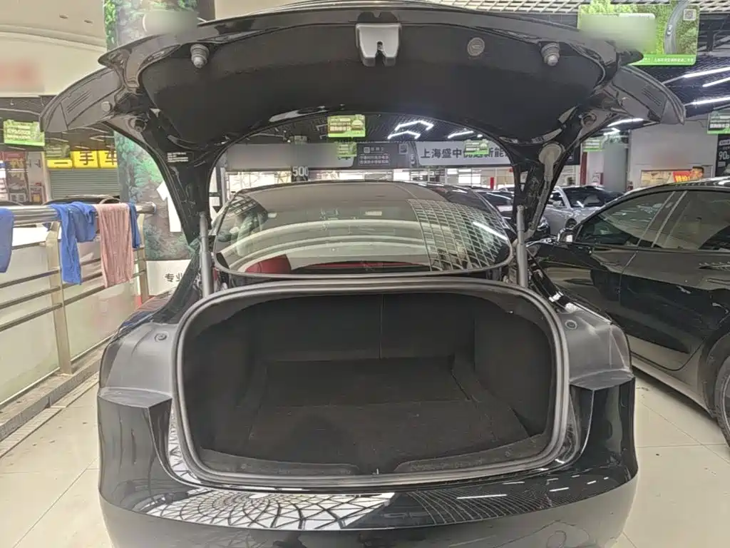 Tesla Model 3 — миниатюра 19