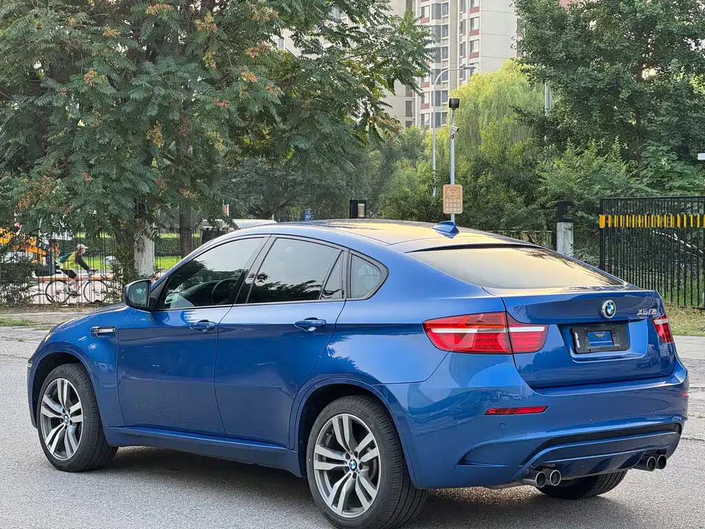 BMW X6 M X6 M, фото 7