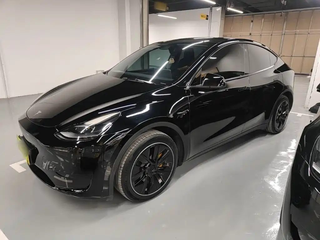Tesla Model Y — миниатюра 2
