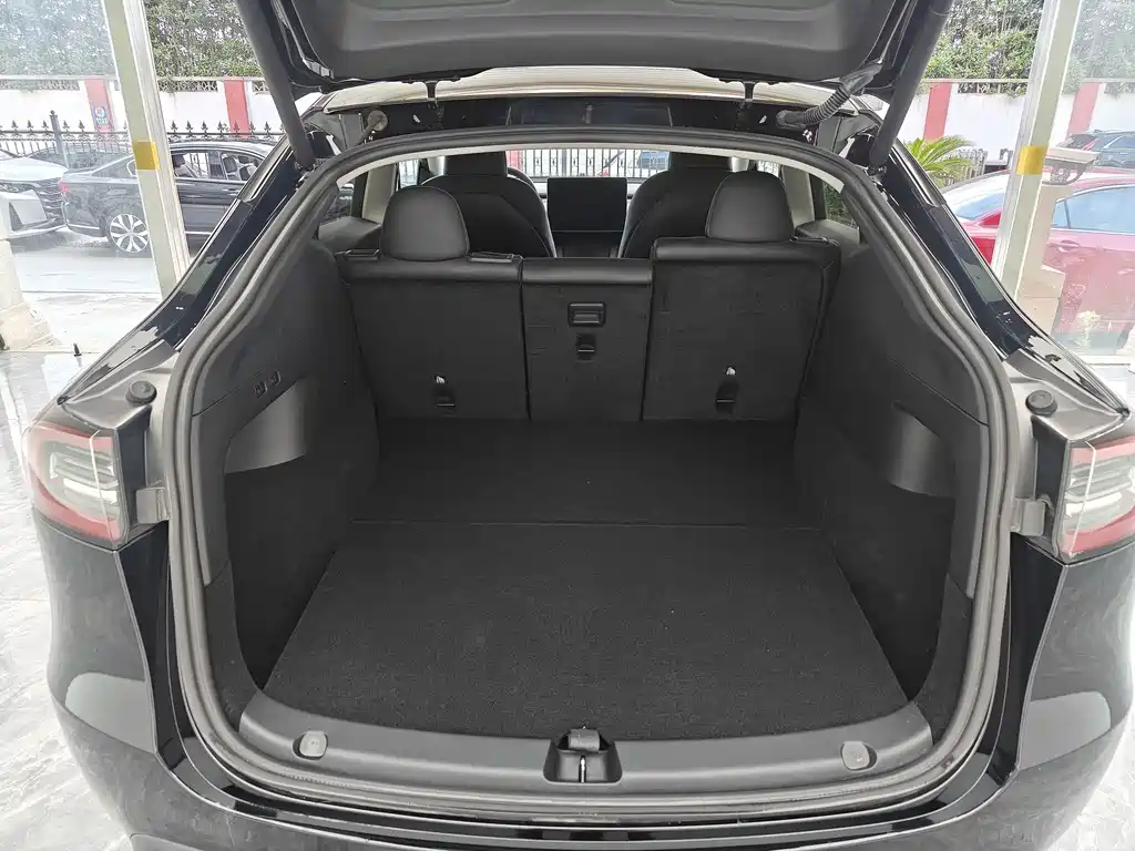 Tesla Model Y — миниатюра 7