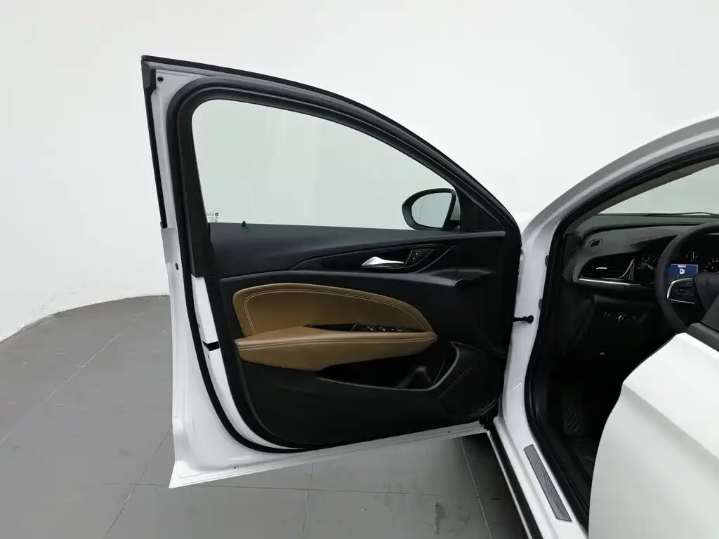 Buick Regal — миниатюра 8