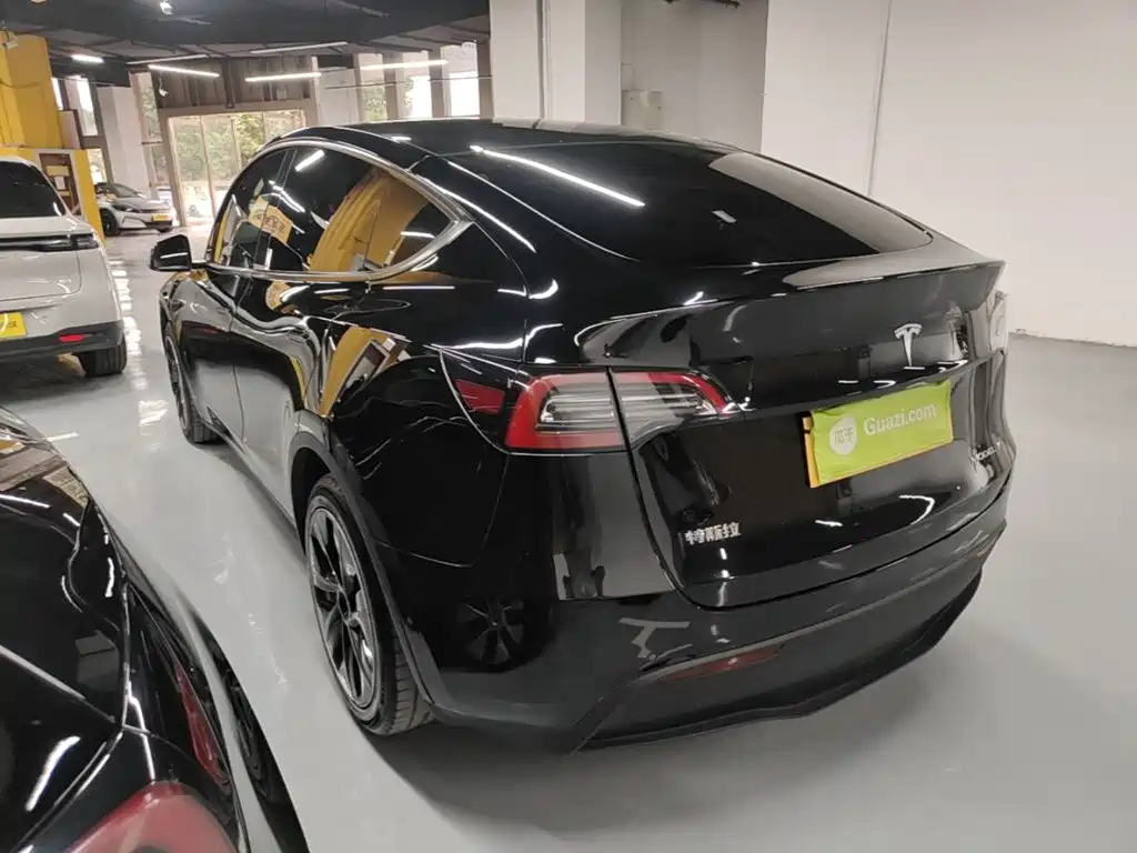 Tesla Model Y — миниатюра 5