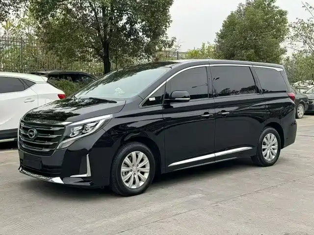 2020 GAC GN8